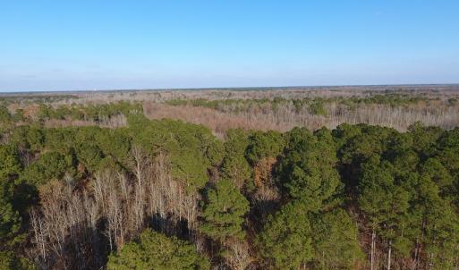 Photo #4 of NC 87 Highway East, Elizabethtown, NC 140.0 acres