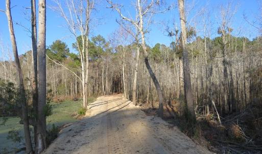 Photo #21 of NC 87 Highway East, Elizabethtown, NC 140.0 acres