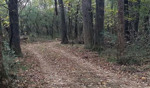 Photo #25 of NC 87 Highway East, Elizabethtown, NC 140.0 acres