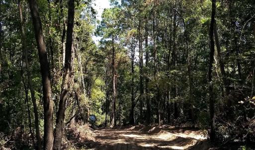 Photo #26 of NC 87 Highway East, Elizabethtown, NC 140.0 acres