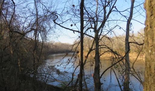 Photo #17 of NC 87 Highway East, Elizabethtown, NC 140.0 acres
