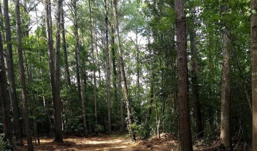 Photo #11 of NC 87 Highway East, Elizabethtown, NC 140.0 acres