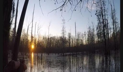 Photo #19 of NC 87 Highway East, Elizabethtown, NC 140.0 acres