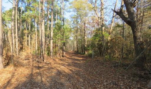 Photo #10 of NC 87 Highway East, Elizabethtown, NC 140.0 acres