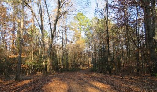 Photo #13 of NC 87 Highway East, Elizabethtown, NC 140.0 acres