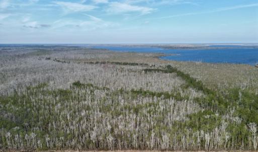 Photo #2 of SOLD property in Off US HWY 64, Columbia, NC 209.0 acres
