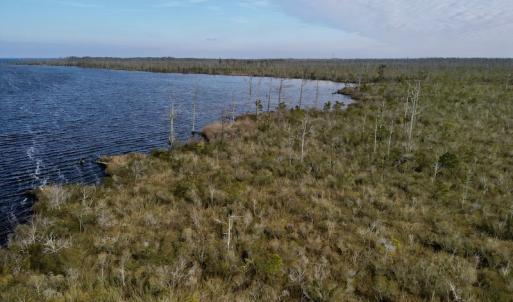 Photo #11 of SOLD property in Off US HWY 64, Columbia, NC 209.0 acres