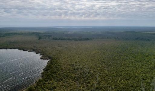 Photo #13 of SOLD property in Off US HWY 64, Columbia, NC 209.0 acres