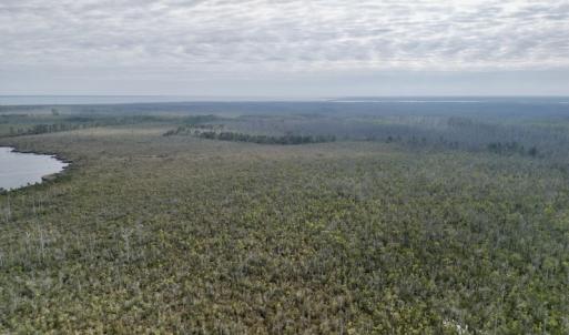 Photo #14 of SOLD property in Off US HWY 64, Columbia, NC 209.0 acres