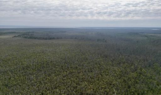 Photo #15 of SOLD property in Off US HWY 64, Columbia, NC 209.0 acres
