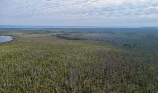 Photo #16 of SOLD property in Off US HWY 64, Columbia, NC 209.0 acres
