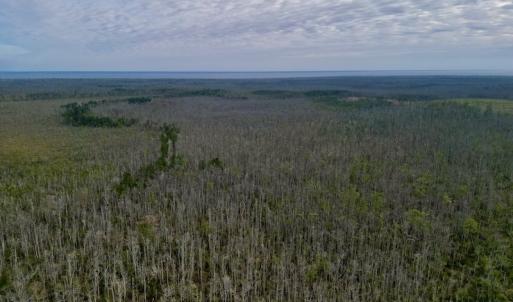 Photo #17 of SOLD property in Off US HWY 64, Columbia, NC 209.0 acres