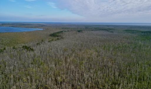 Photo #18 of SOLD property in Off US HWY 64, Columbia, NC 209.0 acres