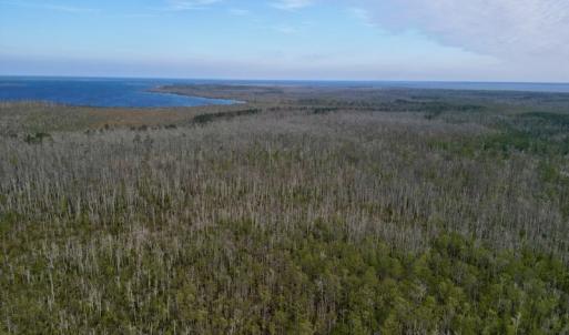 Photo #19 of SOLD property in Off US HWY 64, Columbia, NC 209.0 acres