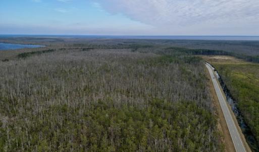 Photo #20 of SOLD property in Off US HWY 64, Columbia, NC 209.0 acres