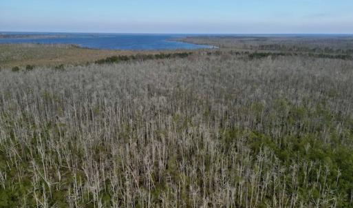 Photo #21 of SOLD property in Off US HWY 64, Columbia, NC 209.0 acres