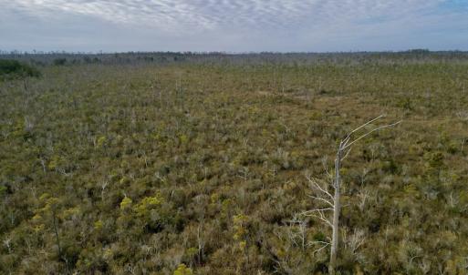 Photo #22 of SOLD property in Off US HWY 64, Columbia, NC 209.0 acres