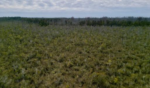 Photo #23 of SOLD property in Off US HWY 64, Columbia, NC 209.0 acres