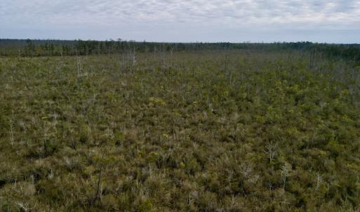 Photo #24 of SOLD property in Off US HWY 64, Columbia, NC 209.0 acres