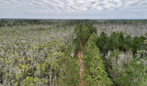 Photo #25 of SOLD property in Off US HWY 64, Columbia, NC 209.0 acres