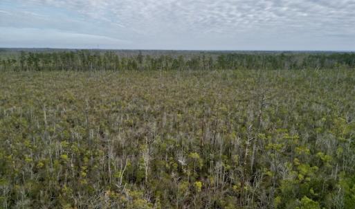 Photo #26 of SOLD property in Off US HWY 64, Columbia, NC 209.0 acres