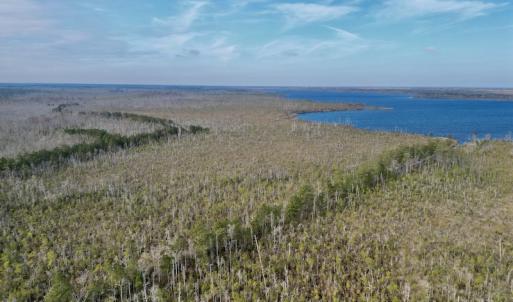 Photo #4 of SOLD property in Off US HWY 64, Columbia, NC 209.0 acres