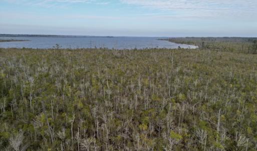 Photo #27 of SOLD property in Off US HWY 64, Columbia, NC 209.0 acres