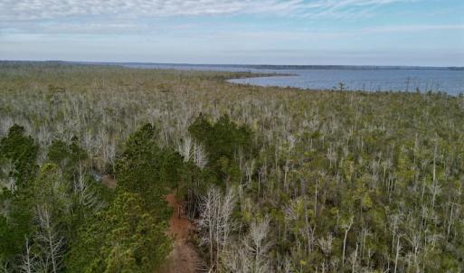 Photo #28 of SOLD property in Off US HWY 64, Columbia, NC 209.0 acres