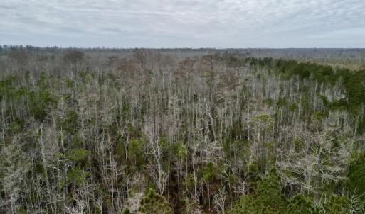 Photo #29 of SOLD property in Off US HWY 64, Columbia, NC 209.0 acres