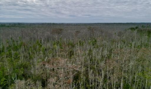 Photo #30 of SOLD property in Off US HWY 64, Columbia, NC 209.0 acres