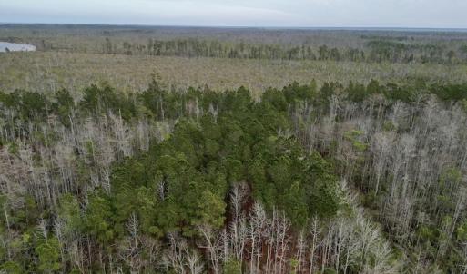 Photo #32 of SOLD property in Off US HWY 64, Columbia, NC 209.0 acres