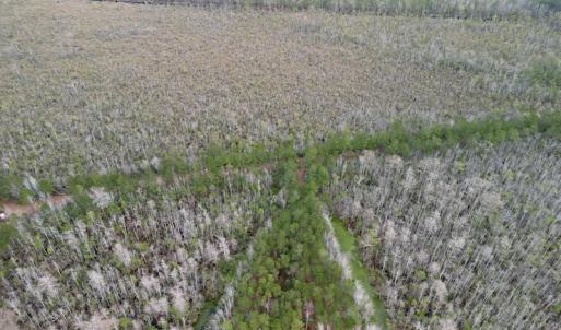 Photo #35 of SOLD property in Off US HWY 64, Columbia, NC 209.0 acres