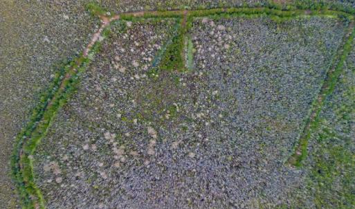 Photo #40 of SOLD property in Off US HWY 64, Columbia, NC 209.0 acres