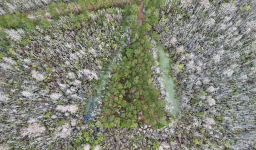 Photo #44 of SOLD property in Off US HWY 64, Columbia, NC 209.0 acres