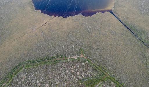 Photo #46 of SOLD property in Off US HWY 64, Columbia, NC 209.0 acres