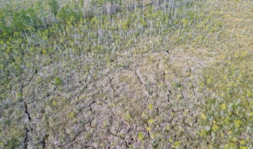 Photo #5 of SOLD property in Off US HWY 64, Columbia, NC 209.0 acres