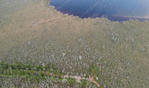 Photo #47 of SOLD property in Off US HWY 64, Columbia, NC 209.0 acres