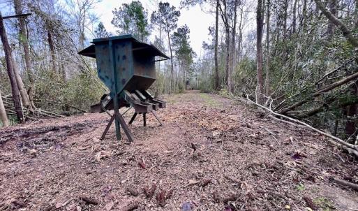 Photo #48 of SOLD property in Off US HWY 64, Columbia, NC 209.0 acres