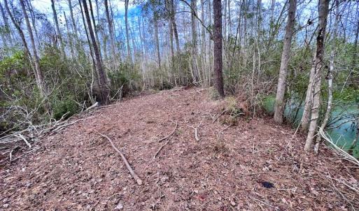 Photo #49 of SOLD property in Off US HWY 64, Columbia, NC 209.0 acres