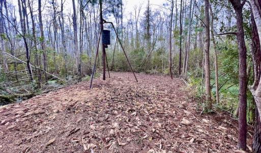 Photo #51 of SOLD property in Off US HWY 64, Columbia, NC 209.0 acres