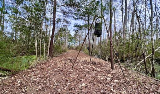 Photo #52 of SOLD property in Off US HWY 64, Columbia, NC 209.0 acres