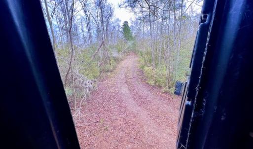 Photo #54 of SOLD property in Off US HWY 64, Columbia, NC 209.0 acres