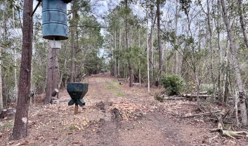 Photo #56 of SOLD property in Off US HWY 64, Columbia, NC 209.0 acres
