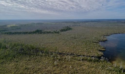 Photo #6 of SOLD property in Off US HWY 64, Columbia, NC 209.0 acres