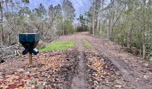 Photo #59 of SOLD property in Off US HWY 64, Columbia, NC 209.0 acres