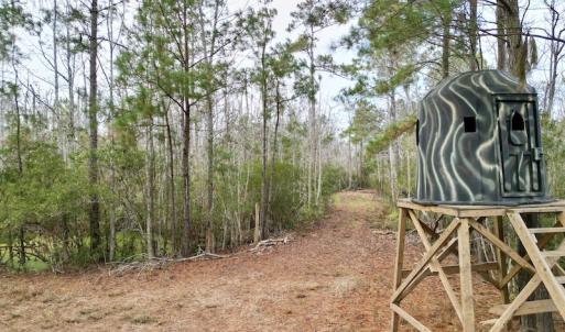 Photo #60 of SOLD property in Off US HWY 64, Columbia, NC 209.0 acres