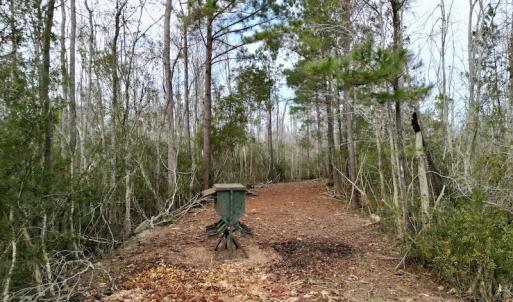 Photo #62 of SOLD property in Off US HWY 64, Columbia, NC 209.0 acres
