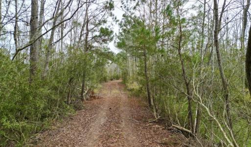 Photo #63 of SOLD property in Off US HWY 64, Columbia, NC 209.0 acres