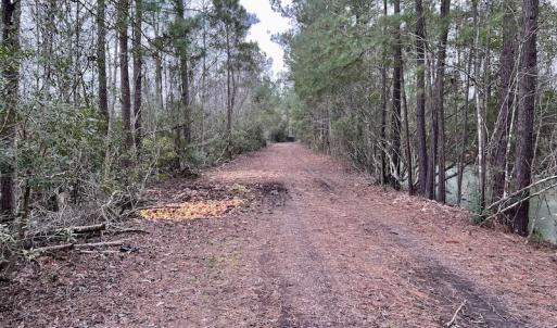 Photo #64 of SOLD property in Off US HWY 64, Columbia, NC 209.0 acres