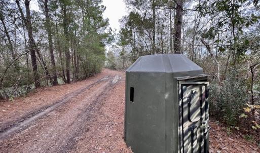 Photo #65 of SOLD property in Off US HWY 64, Columbia, NC 209.0 acres